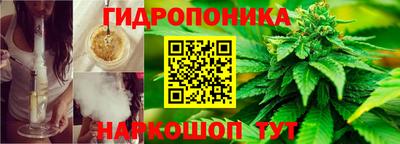 каннабис Дубна