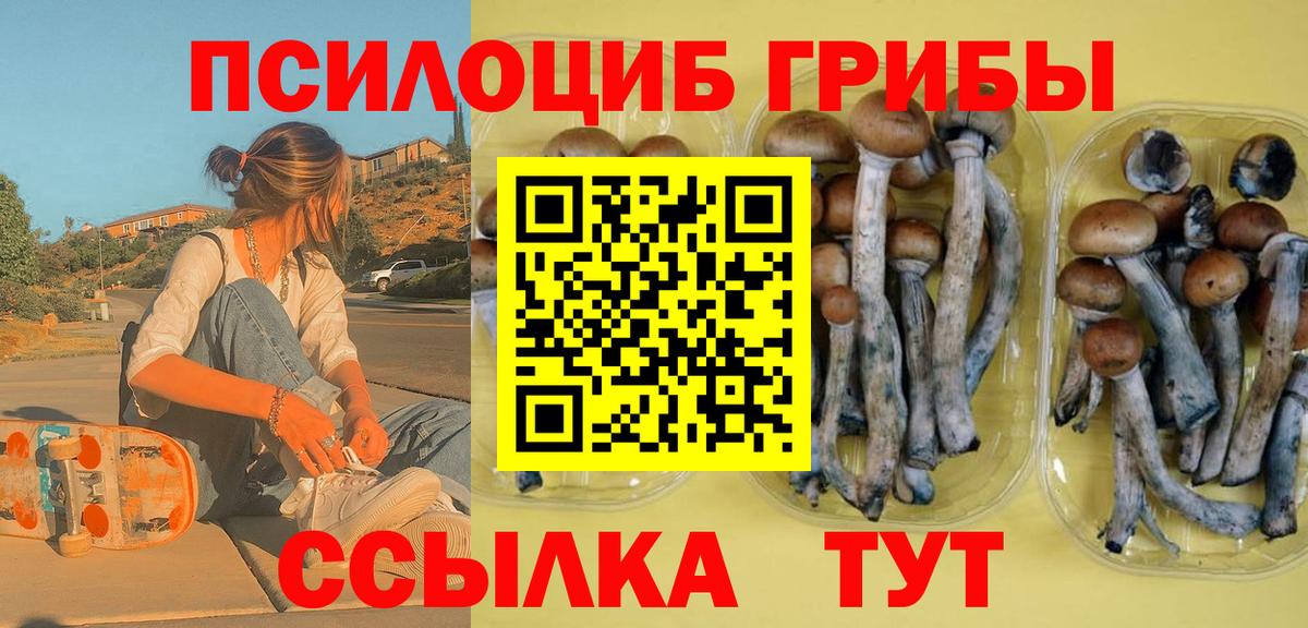 Галлюциногенные грибы Magic Shrooms Югорск