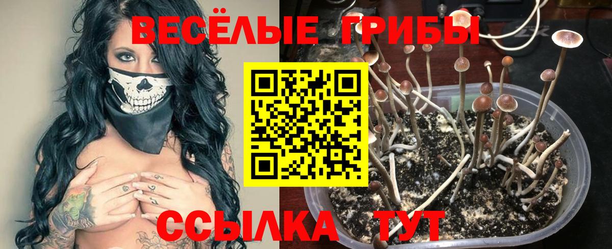 Югорск  Псилоцибиновые грибы прущие грибы  Вход с VPN  Псилоцибиновые грибы GOLDEN TEACHER 